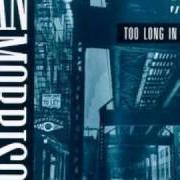 El texto musical BIGTIME OPERATORS de VAN MORRISON también está presente en el álbum Too long in exile (1993)