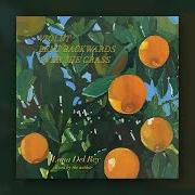 El texto musical PARADISE IS VERY FRAGILE de LANA DEL REY también está presente en el álbum Violet bent backwards over the grass (2020)