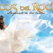 El texto musical PERDONAME de ECOS DEL ROCÍO también está presente en el álbum Al compas del amor (2009)