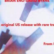 El texto musical MOUNTAIN OF NEEDLES de DAVID BYRNE también está presente en el álbum My life in the bush of ghosts (with brian eno) (1981)